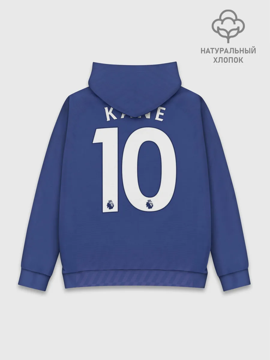 Худи мужской база хлопок / Kane away 19-20