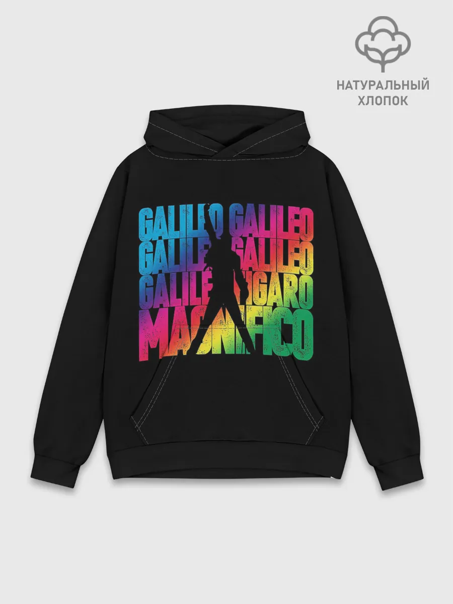 Худи мужской база хлопок / Queen