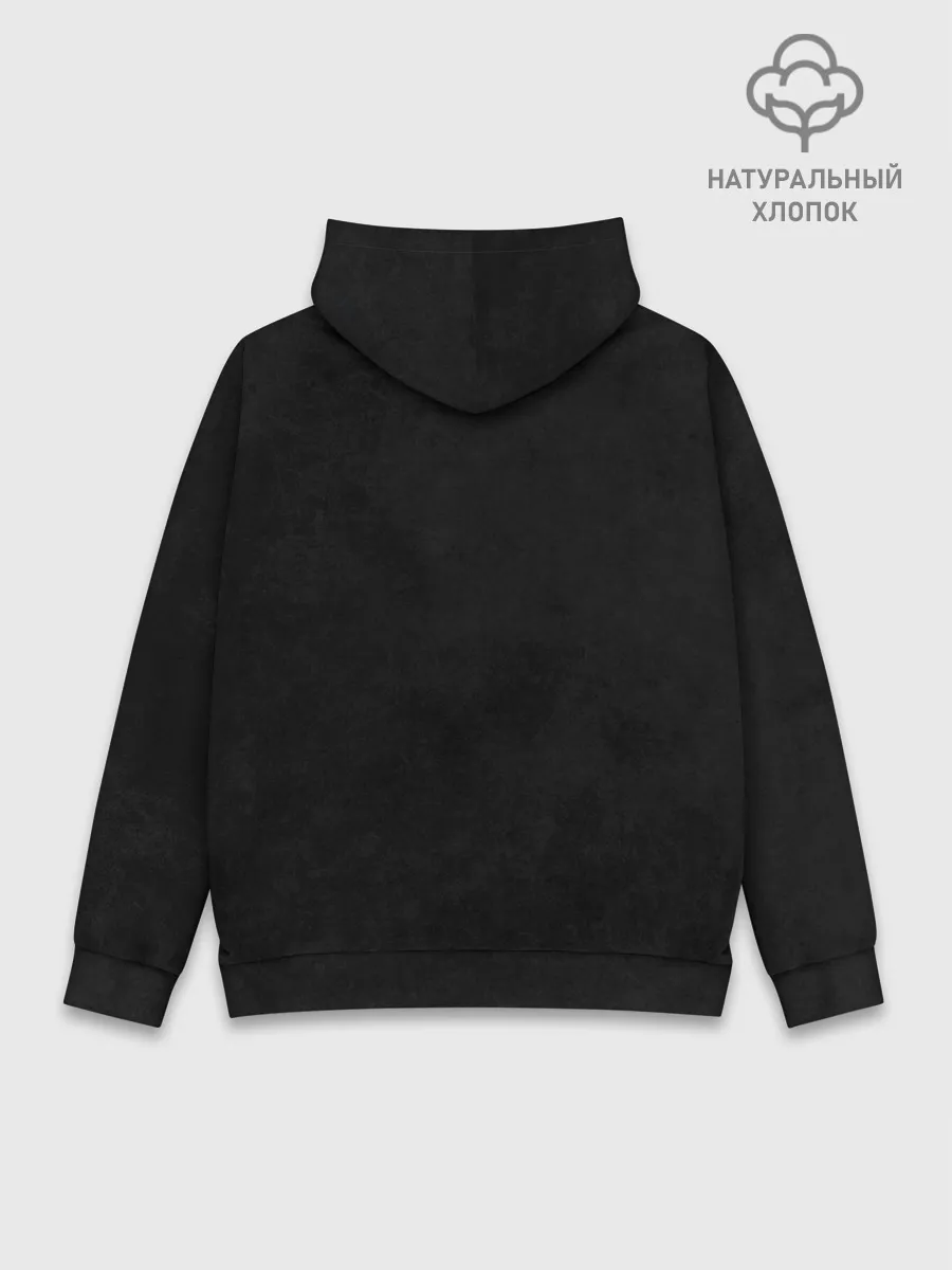 Худи мужской база хлопок / Eva 01