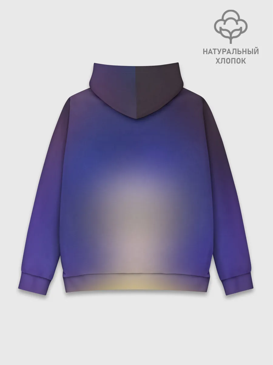 Худи мужской база хлопок / Coraline