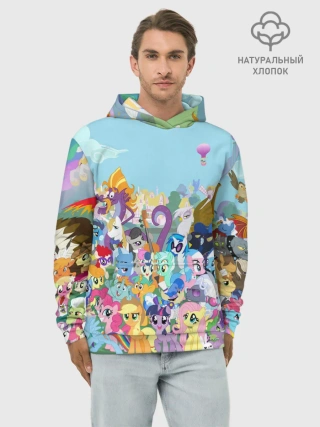 Худи мужской база хлопок / MY LITTLE PONY