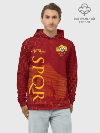 Худи мужской база хлопок / Рома