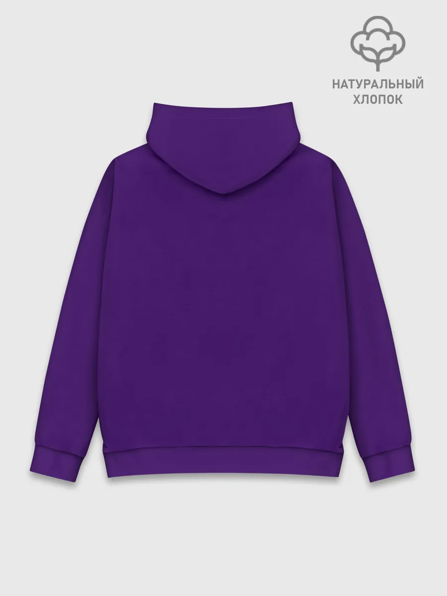 Худи мужской база хлопок / Raptor