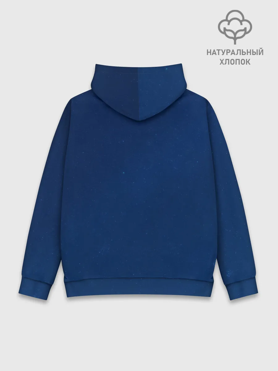 Худи мужской база хлопок / Aerial Gymnastic