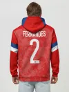 Худи мужской база хлопок / Fernandes home EURO 2020