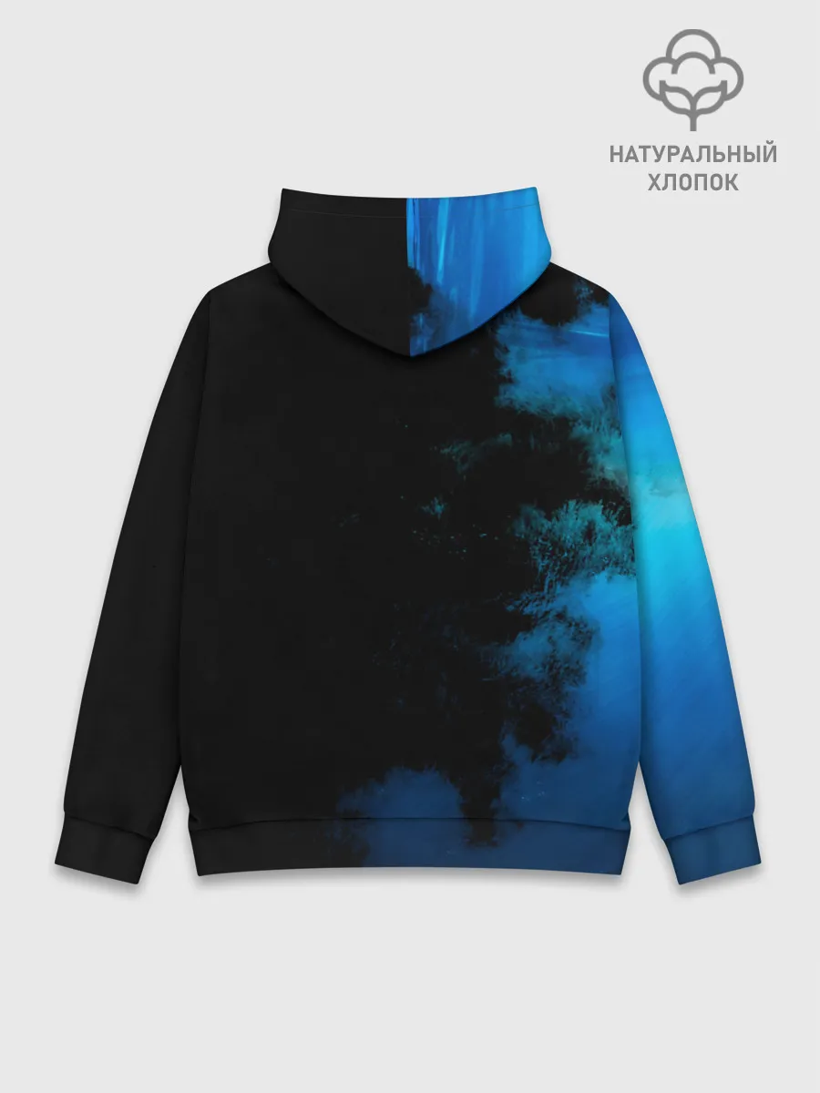 Худи мужской база хлопок / Nautilus Pompilius