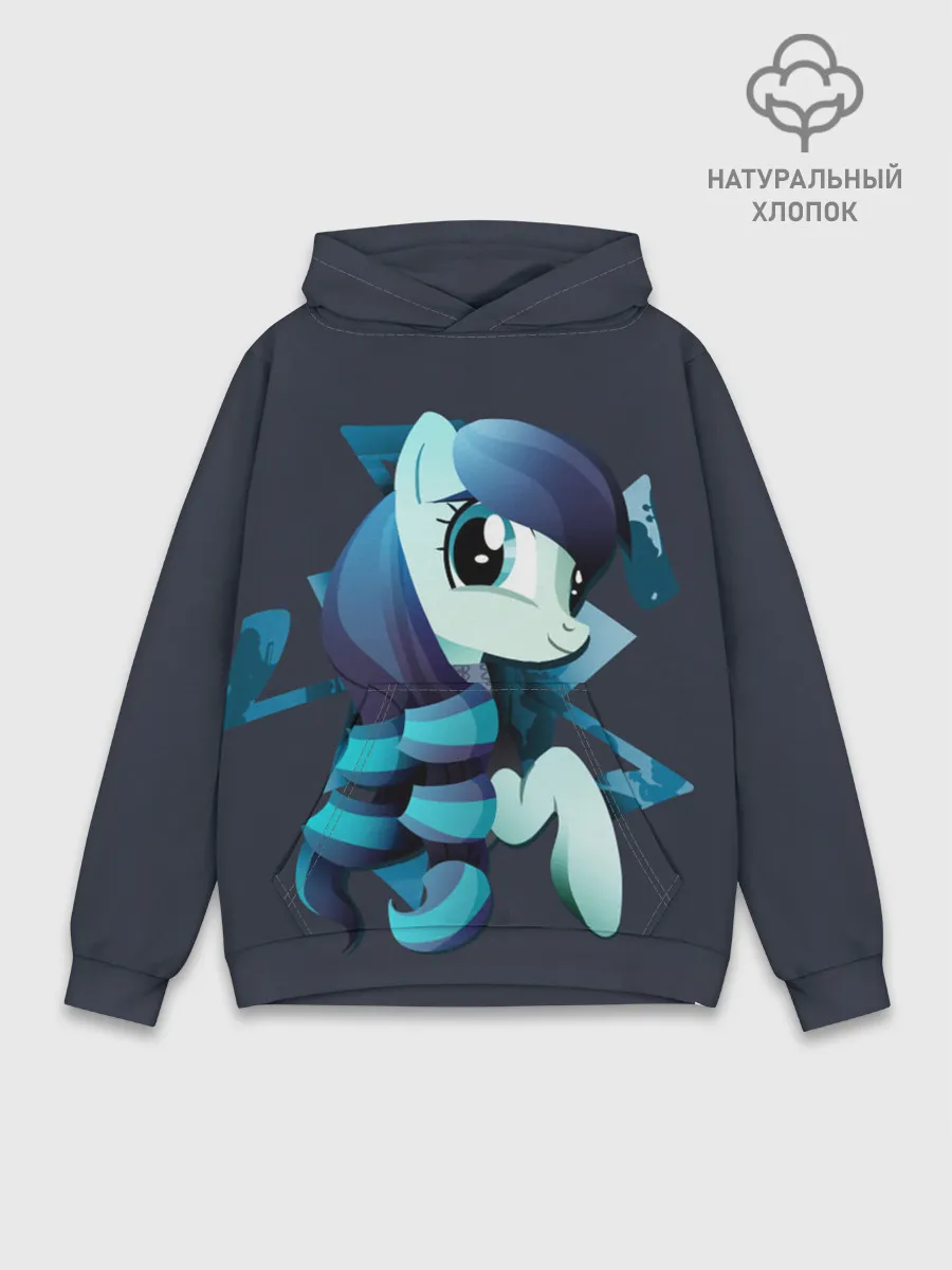 Худи мужской база хлопок / Мой маленький пони
