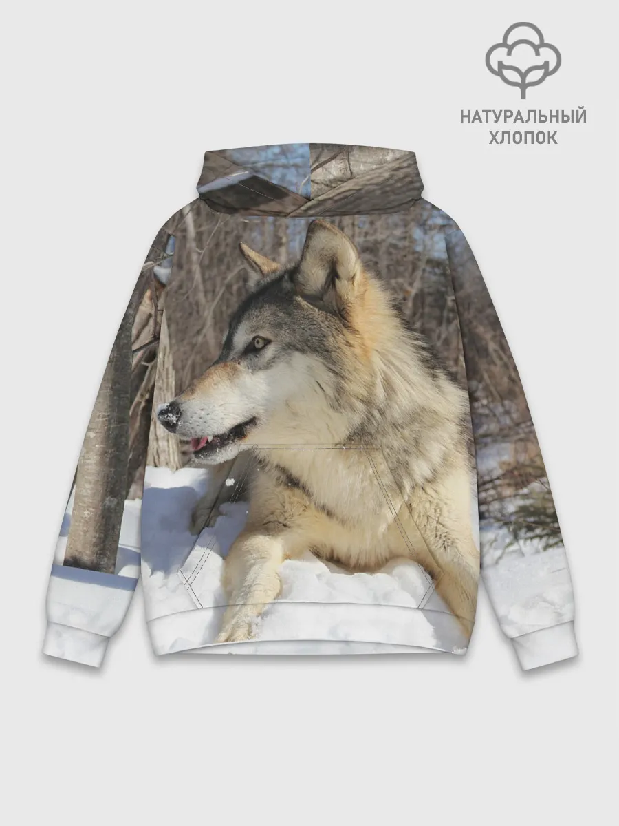 Худи мужской база хлопок / Волк лежит на снегу