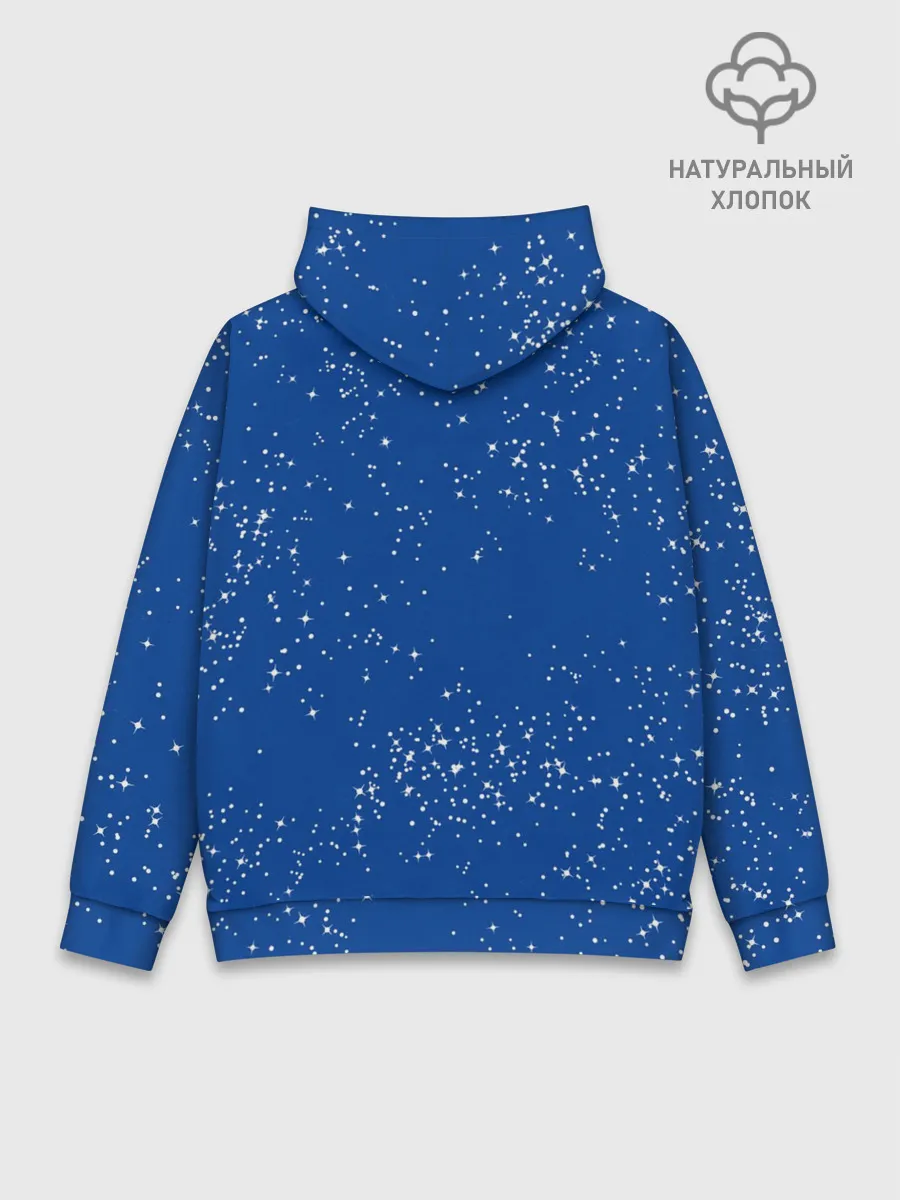 Худи мужской база хлопок / NASA