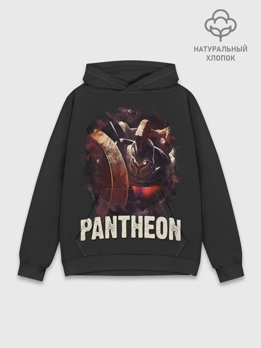 Худи мужской база хлопок / Pantheon