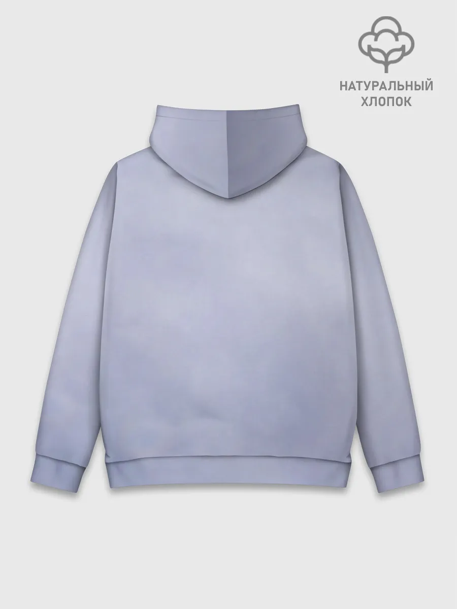 Худи мужской база хлопок / ВВС России