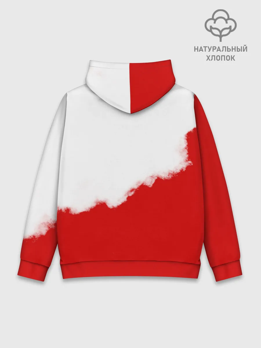 Худи мужской база хлопок / Внутренние Войска