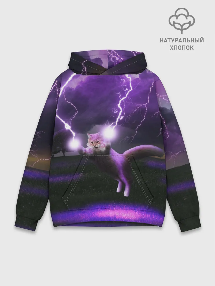 Худи мужской база хлопок / Кот и Молнии