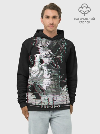 Худи мужской база хлопок / Доктор Стоун