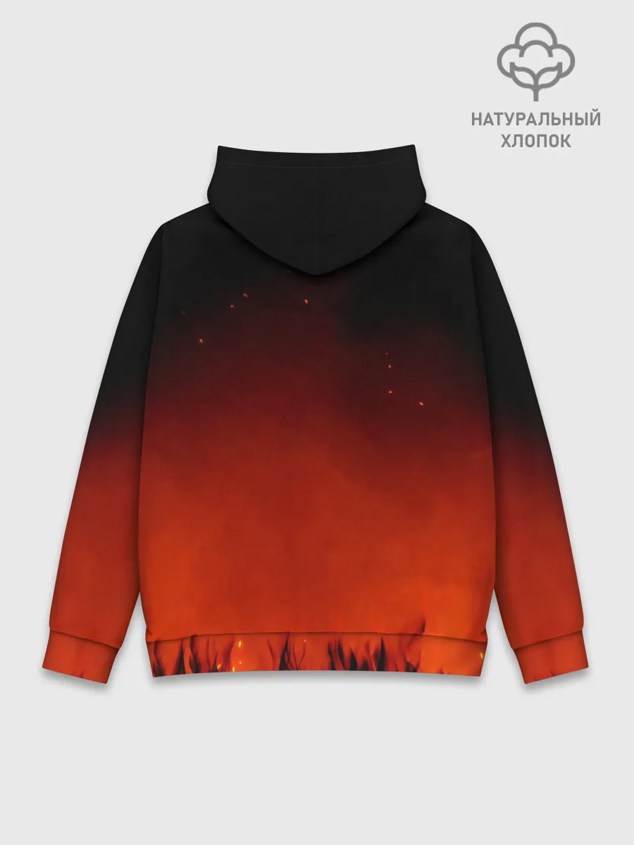 Худи мужской база хлопок / Доктор Стоун