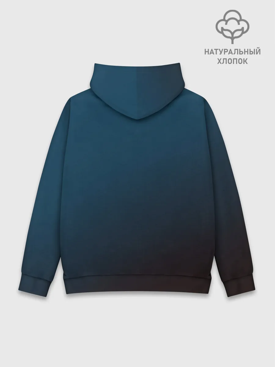 Худи мужской база хлопок / The Division 2