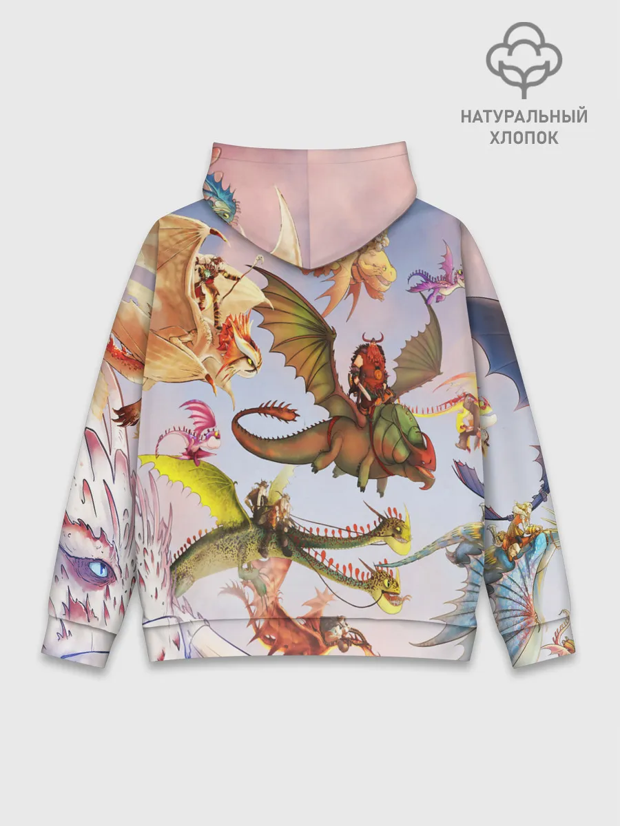 Худи мужской база хлопок / Как приручить дракона