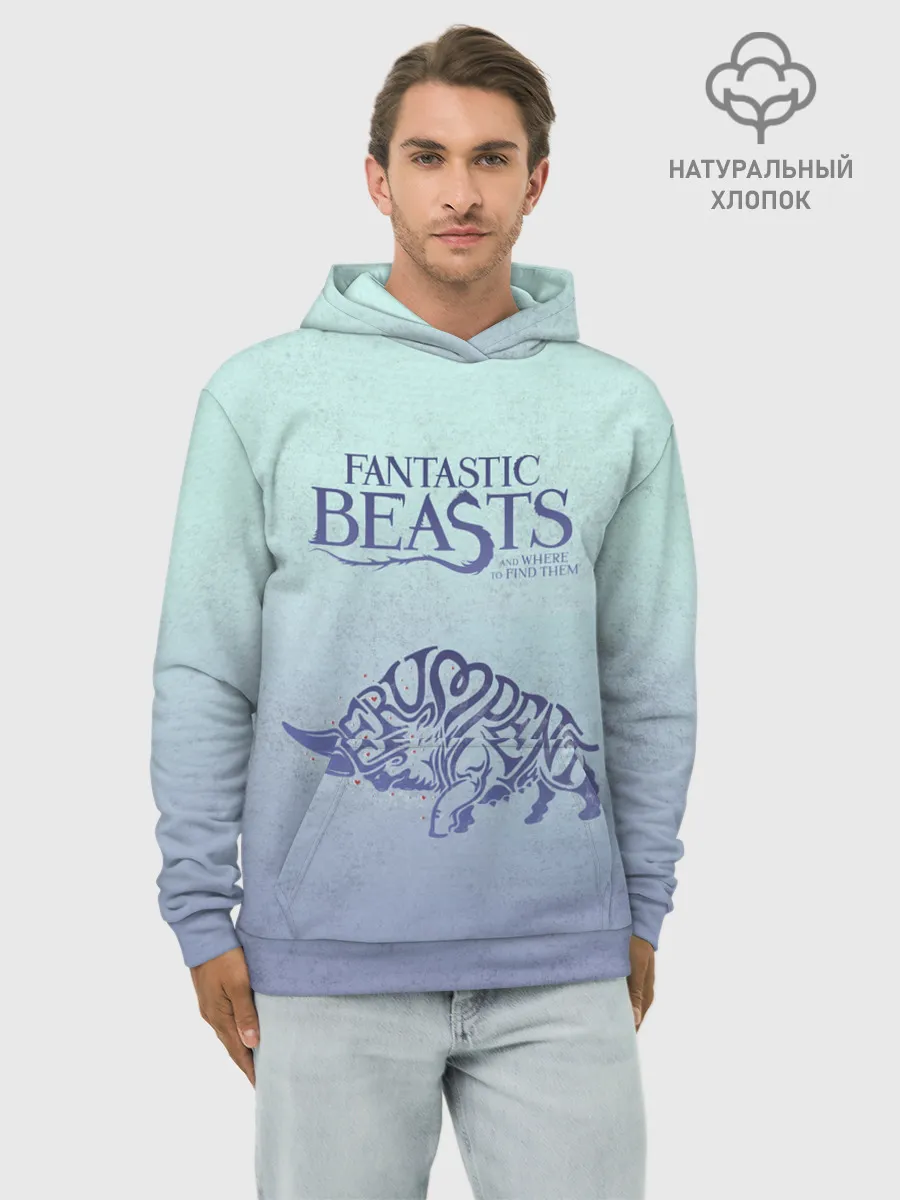 Худи мужской база хлопок / Erumpent