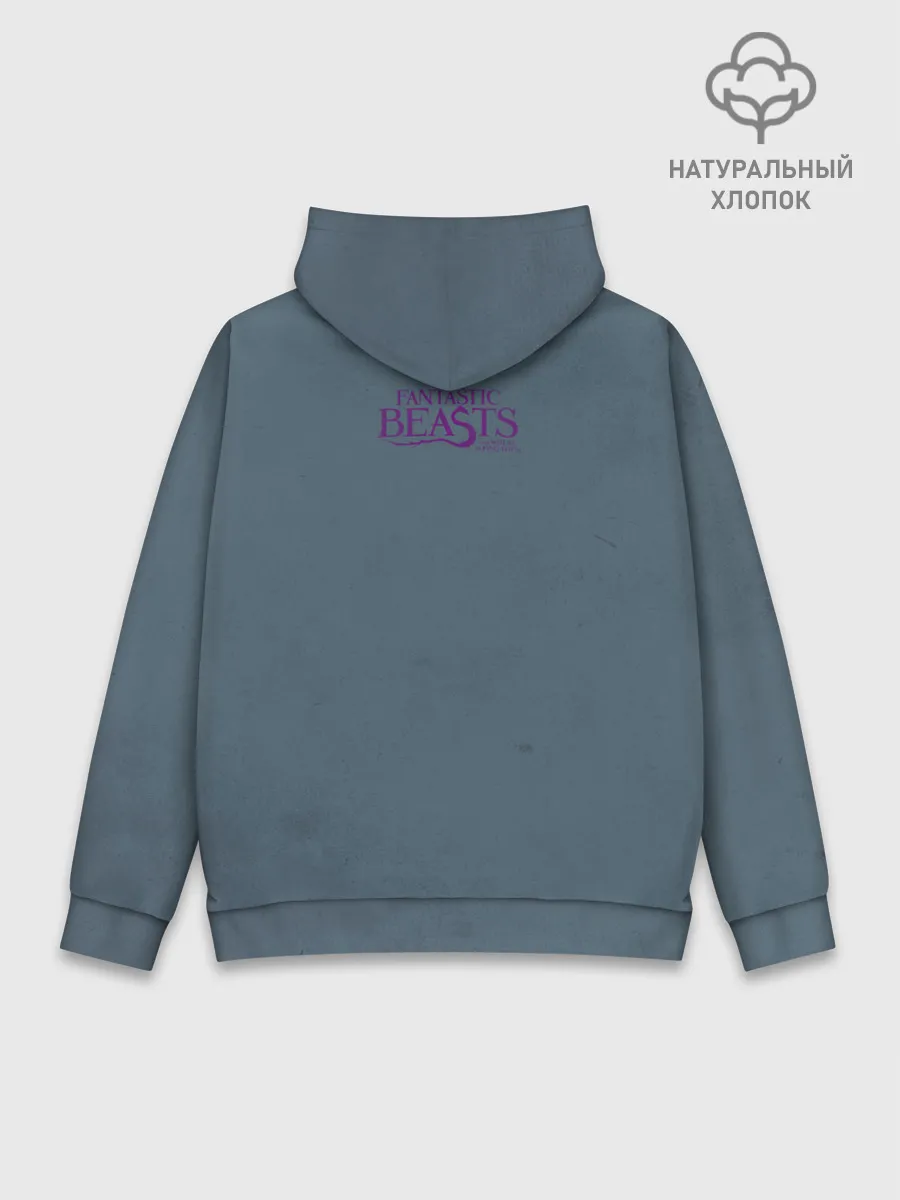 Худи мужской база хлопок / OCCAMY