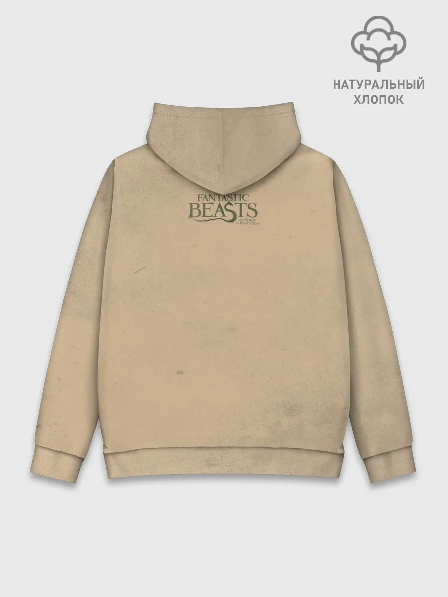 Худи мужской база хлопок / OBLIVIATE