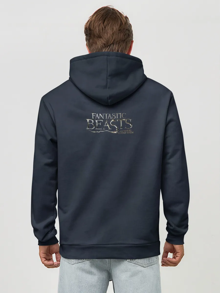 Худи мужской база хлопок / Accio