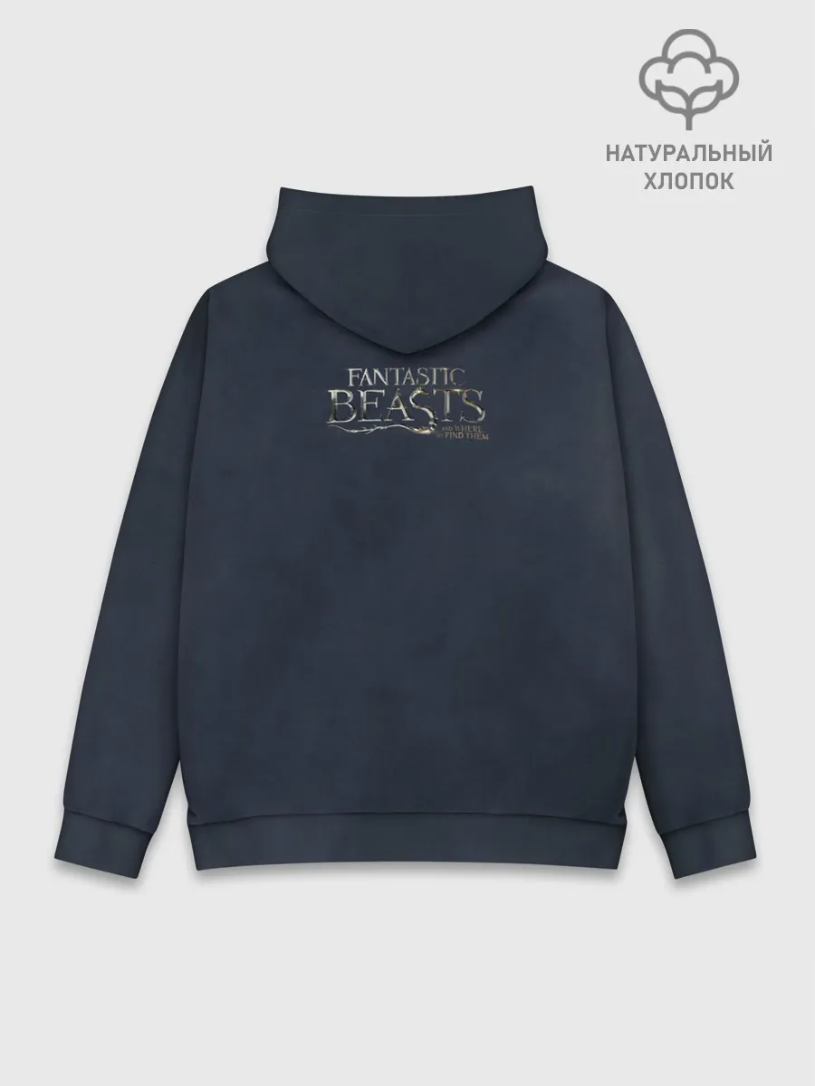 Худи мужской база хлопок / Accio