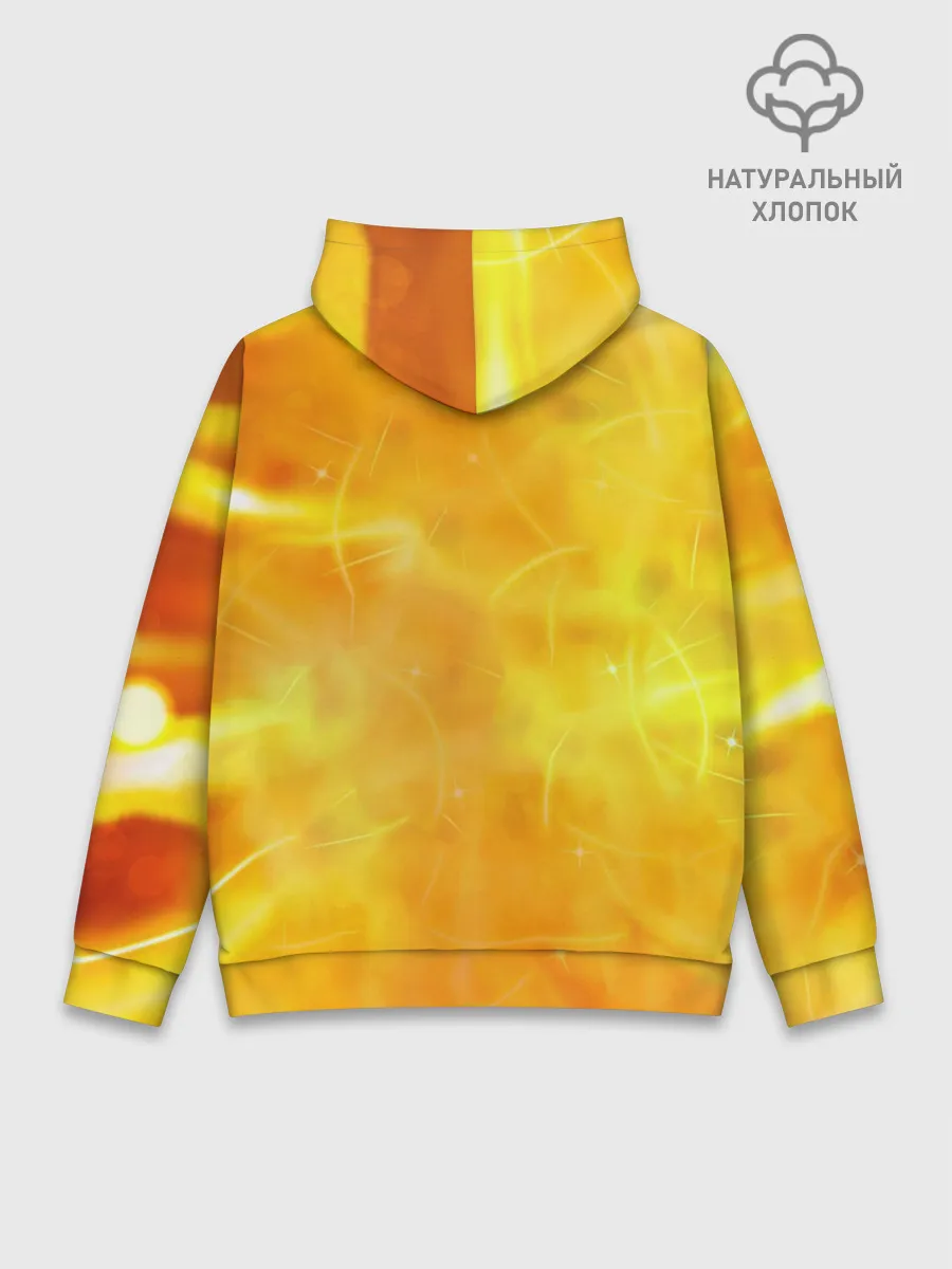 Худи мужской база хлопок / Sonic