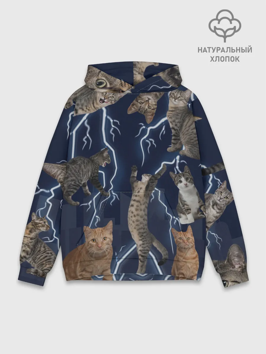 Худи мужской база хлопок / Коты
