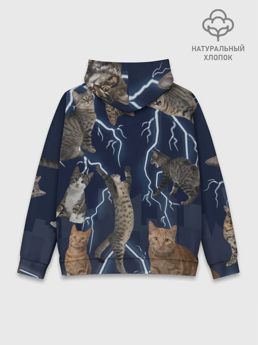 Худи мужской база хлопок / Коты