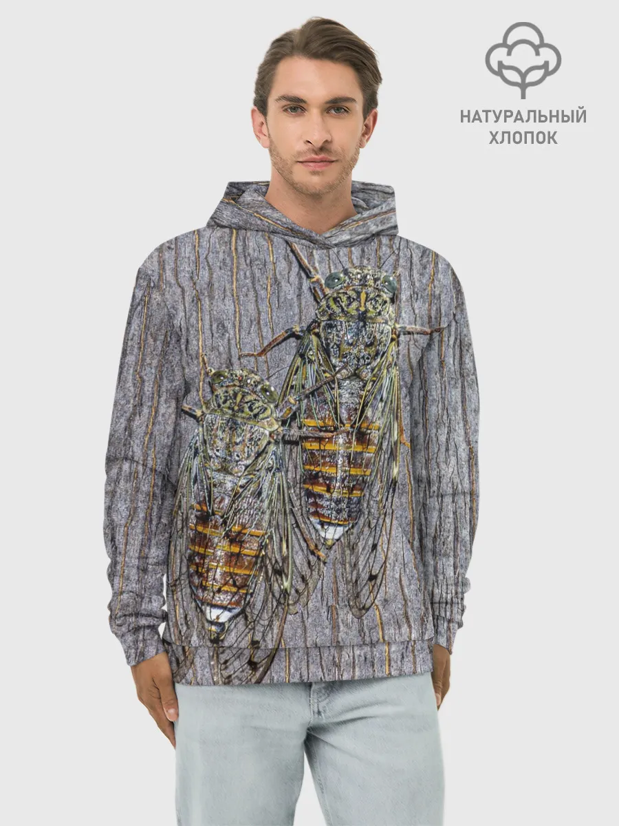 Худи мужской база хлопок / Цикады