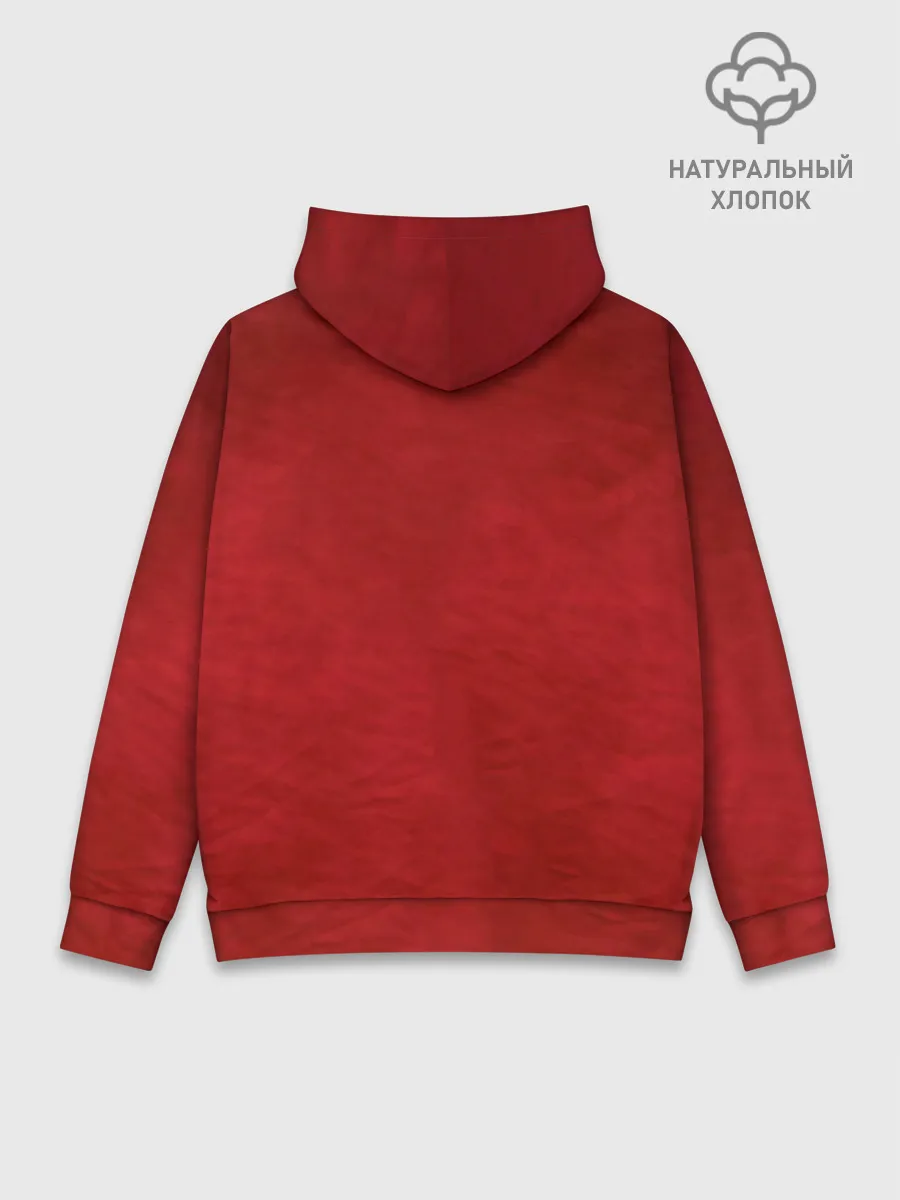 Худи мужской база хлопок / РОБЕРТ