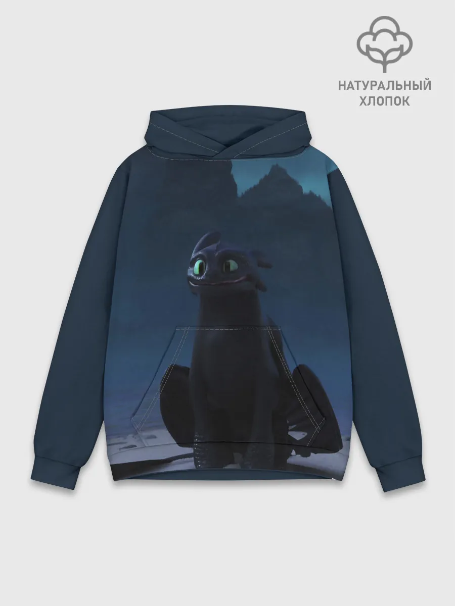 Худи мужской база хлопок / Беззубик:Ночная Фурия