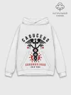 Худи мужской база хлопок / Caduceus