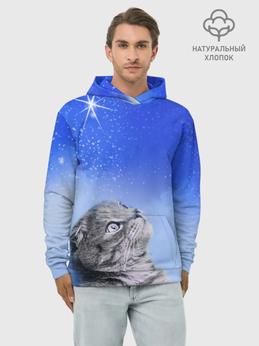 Худи мужской база хлопок / Кот и космос