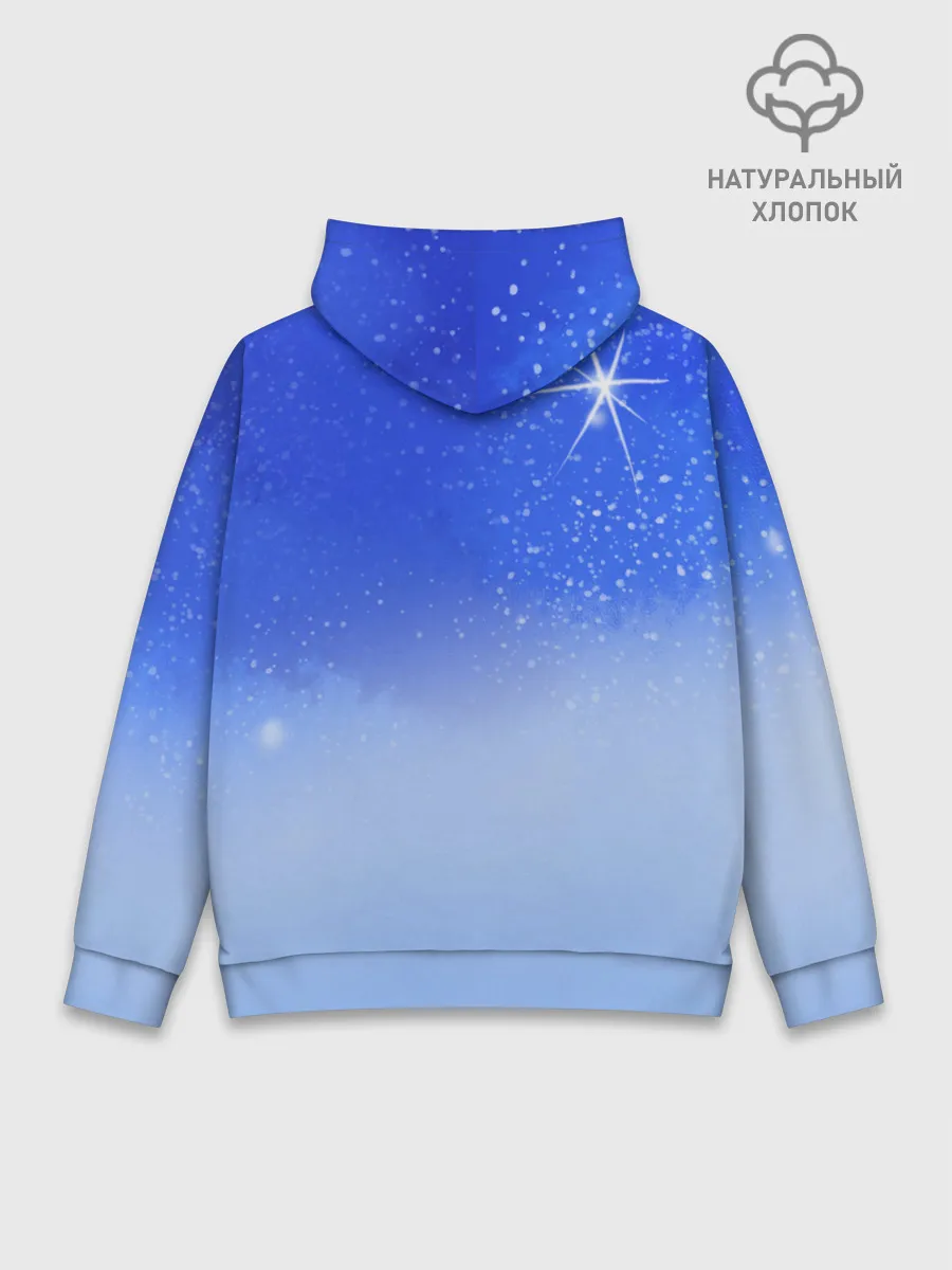 Худи мужской база хлопок / Кот и космос