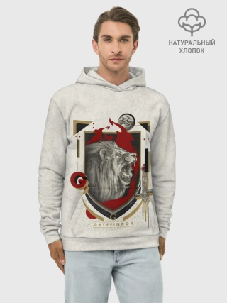 Худи мужской база хлопок / Гарри Поттер