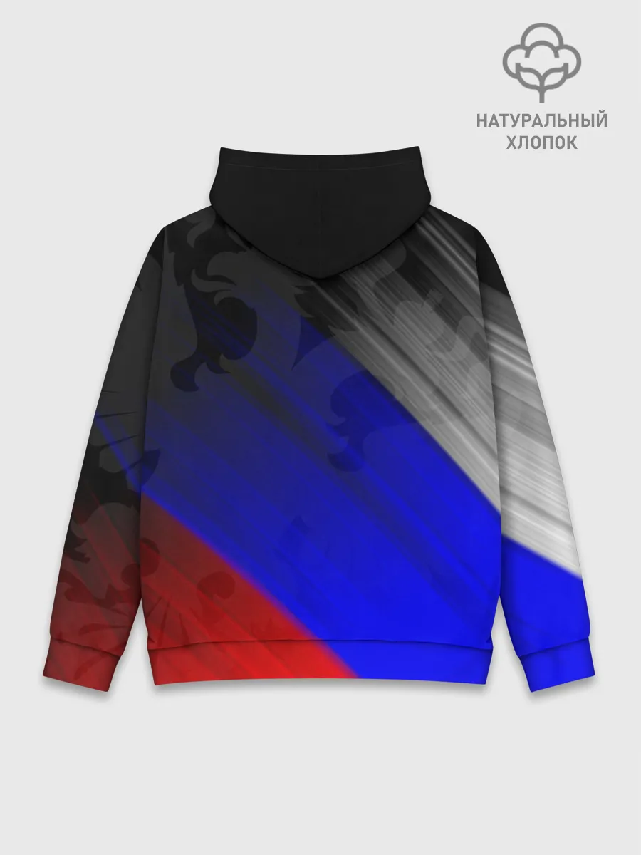 Худи мужской база хлопок / РОССИЯ