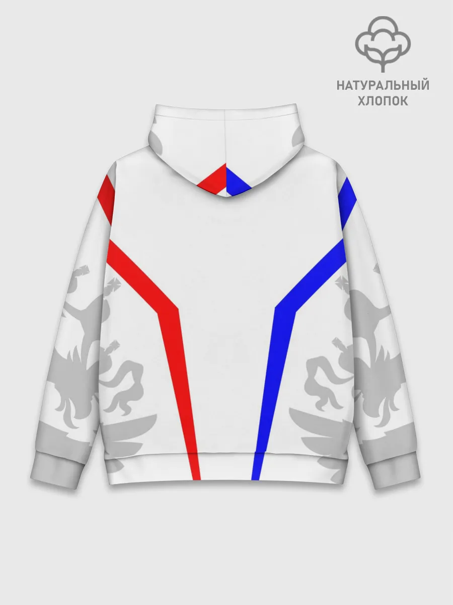 Худи мужской база хлопок / РОССИЯ