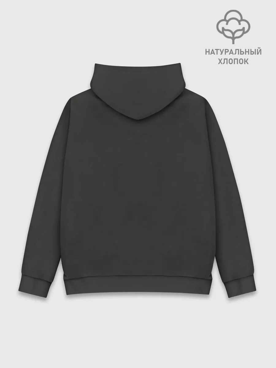 Худи мужской база хлопок / PANTERA VULGAR OF POWER