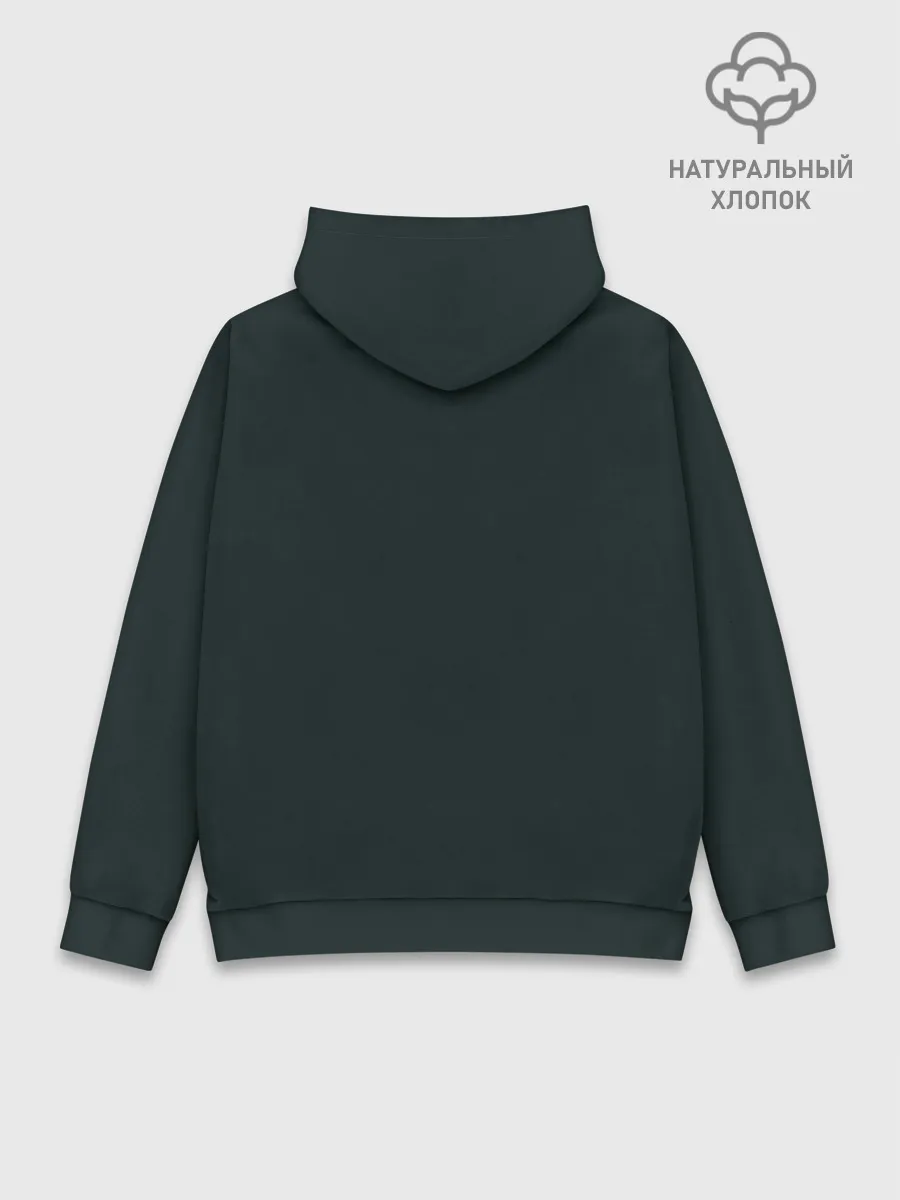 Худи мужской база хлопок / Дима Билан