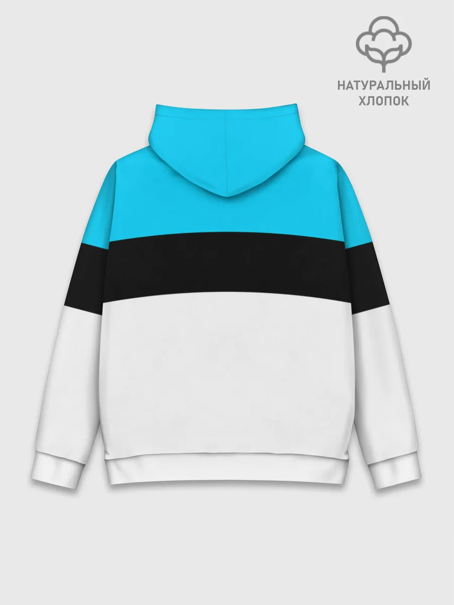 Худи мужской база хлопок / Россия