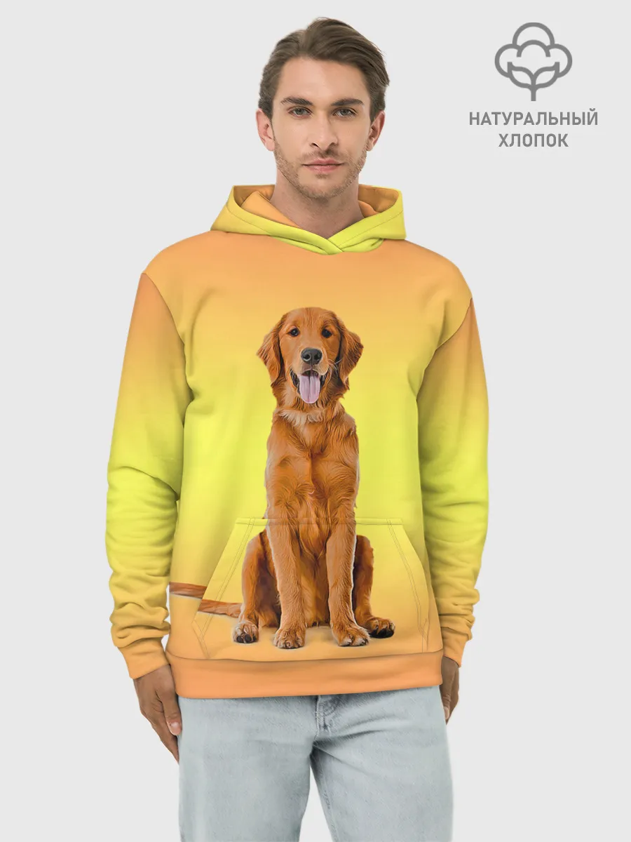 Худи мужской база хлопок / Золотистый ретривер