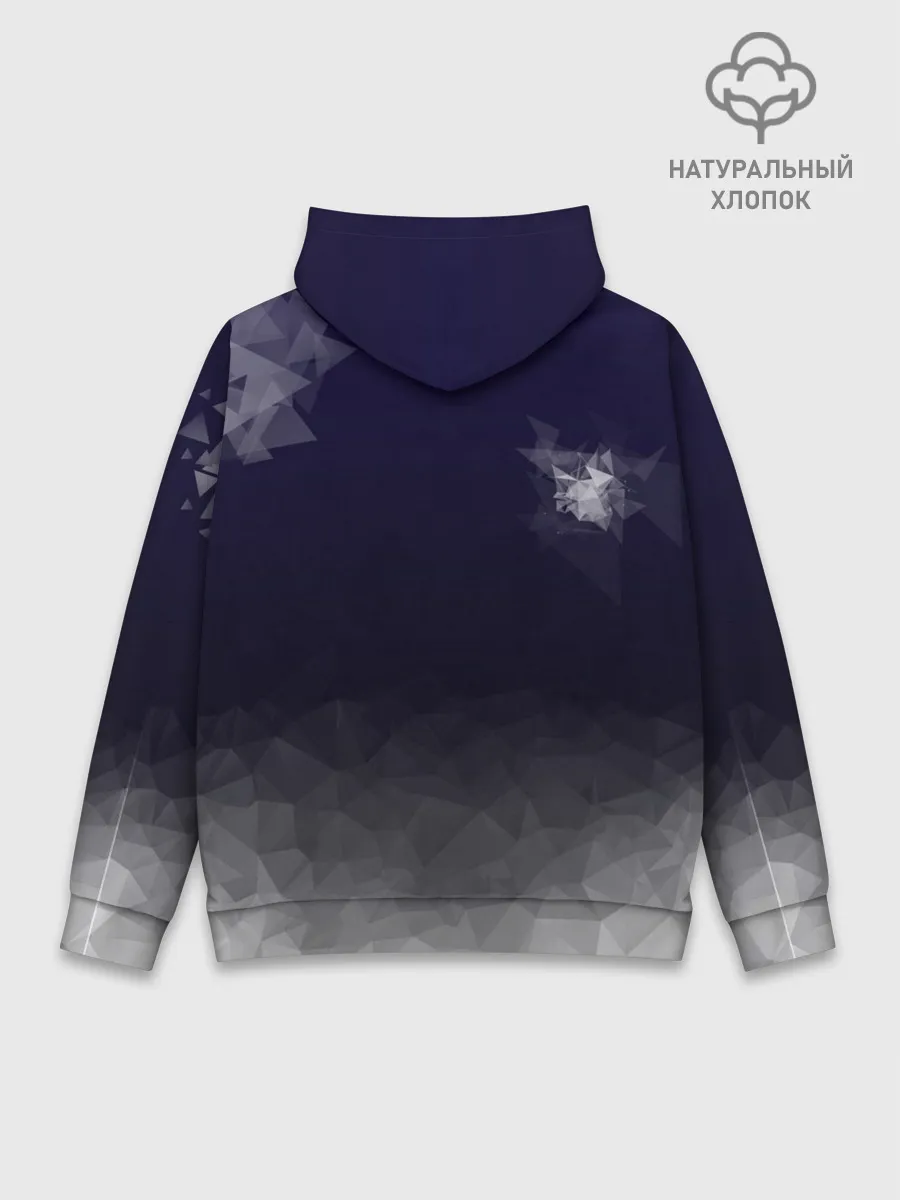 Худи мужской база хлопок / Borussia