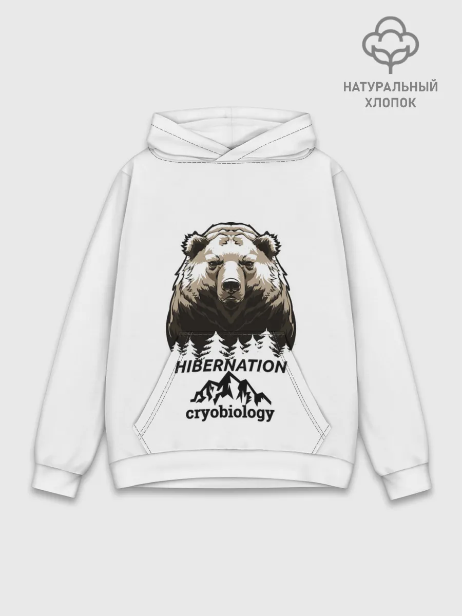 Худи мужской база хлопок / hibernation