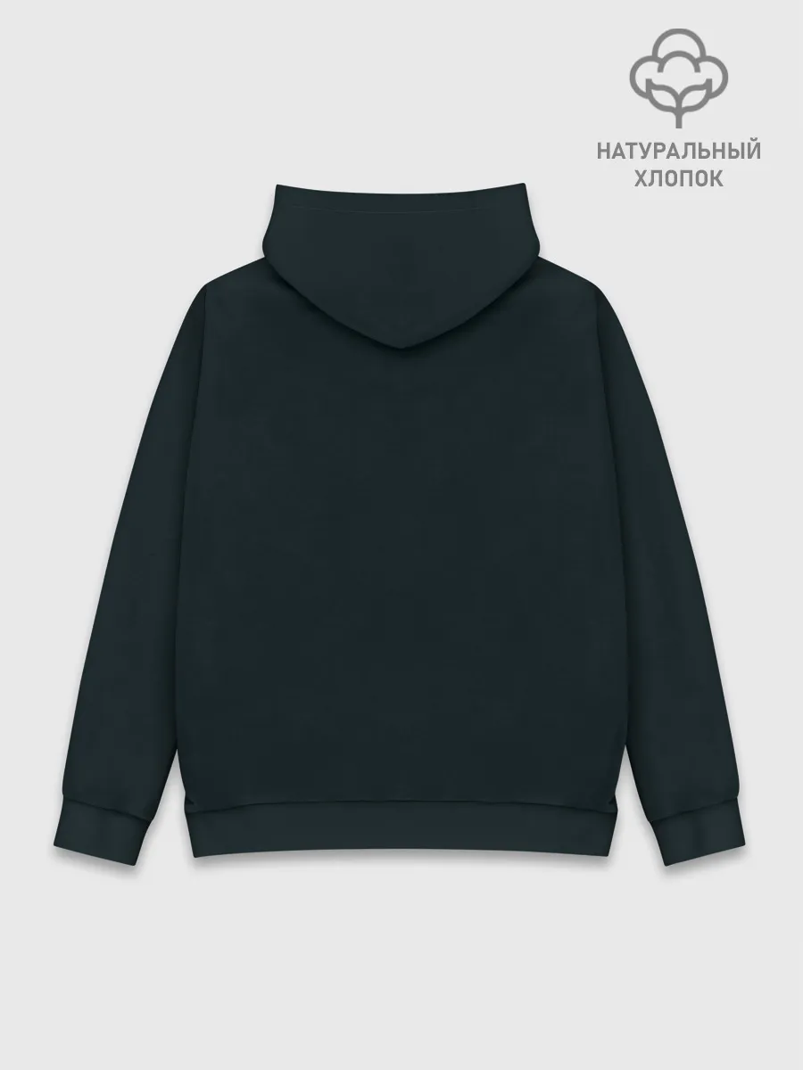 Худи мужской база хлопок / Children of Bodom 20