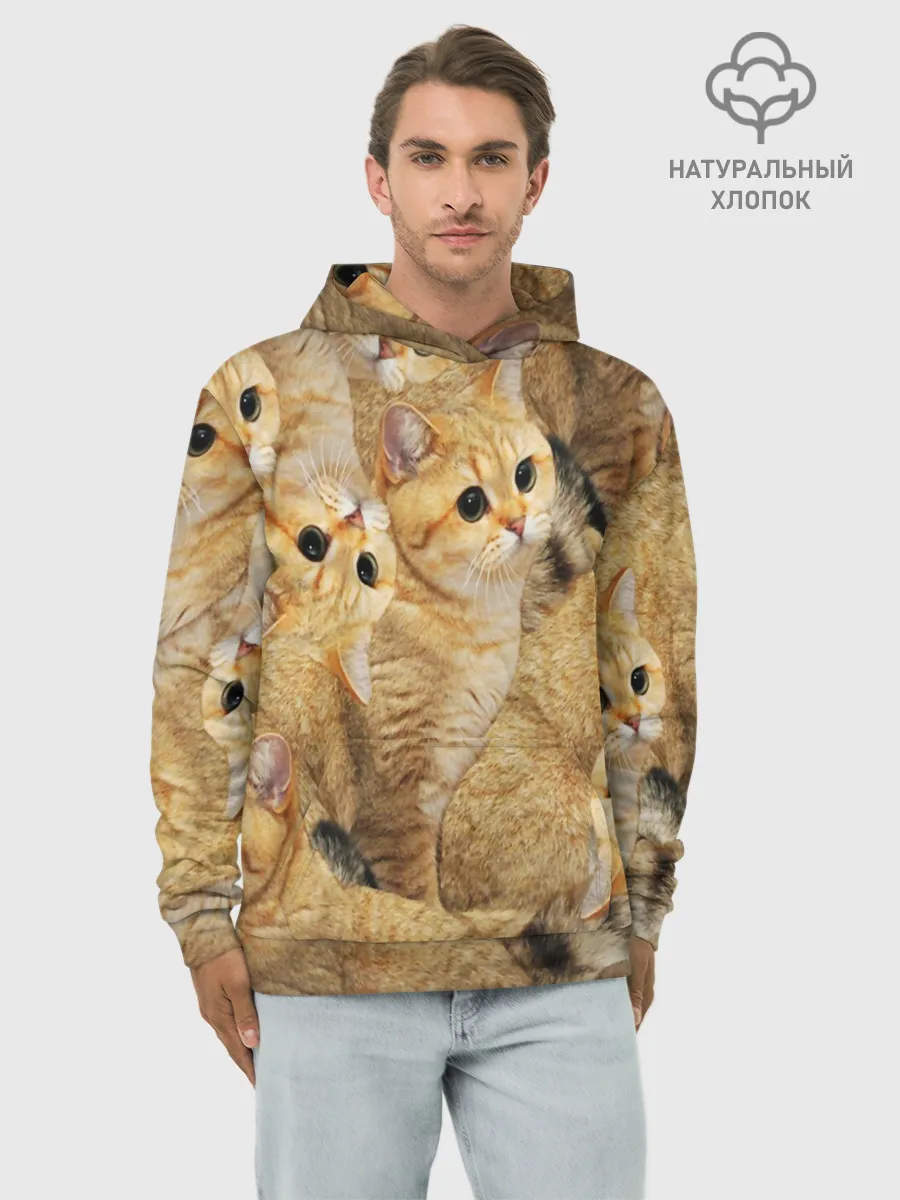Худи мужской база хлопок / КОТЯТУШКИ