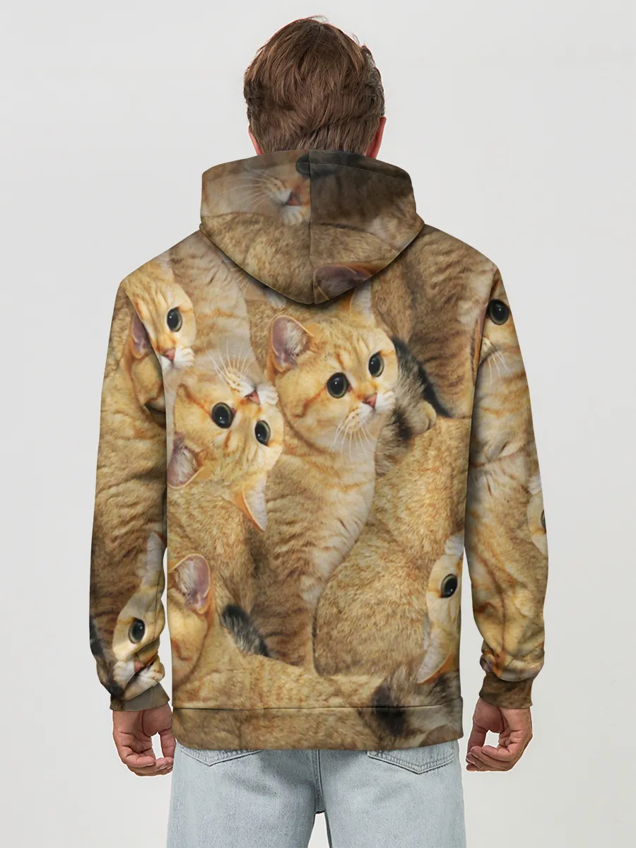 Худи мужской база хлопок / КОТЯТУШКИ