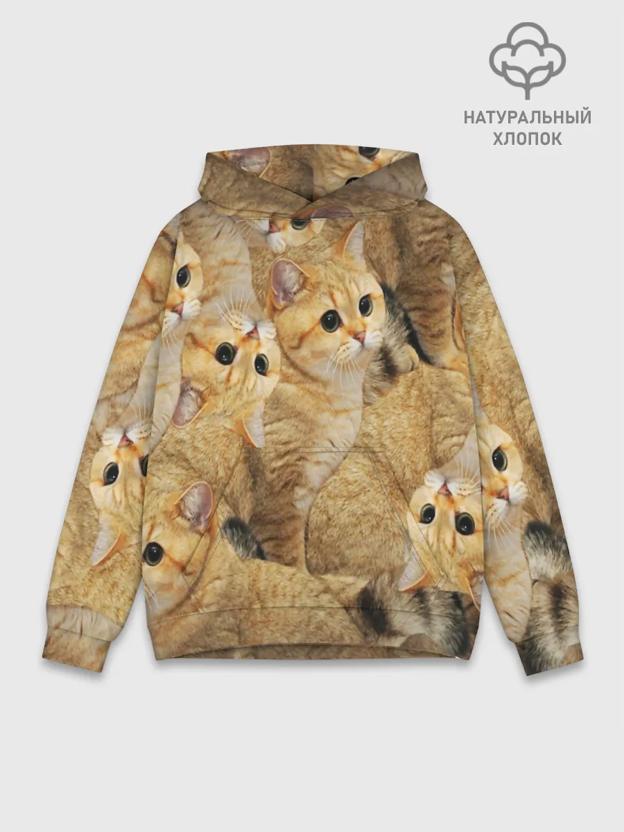 Худи мужской база хлопок / КОТЯТУШКИ
