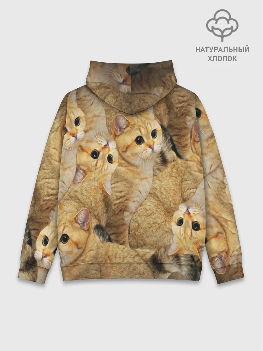 Худи мужской база хлопок / КОТЯТУШКИ