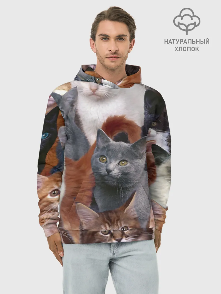 Худи мужской база хлопок / КОТЯТКИ